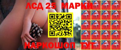 ГАЛЛЮЦИНОГЕННЫЕ ГРИБЫ Заволжье