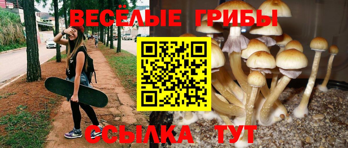 Псилоцибиновые грибы MAGIC MUSHROOMS  Галлюциногенные грибы прущие грибы  Буйнакск  Вход с VPN 