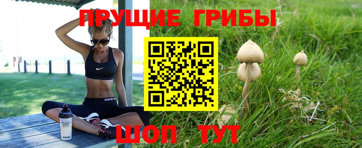 Галлюциногенные грибы MAGIC MUSHROOMS Буйнакск